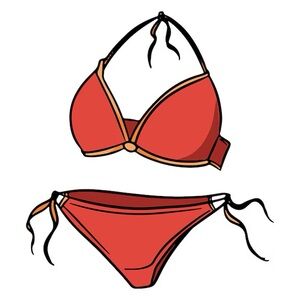 Mystery Bikini Box